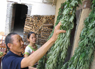 端午节习俗吃什么开运找到适合自己的食物